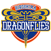 Bリーグチケット